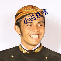 小说(說)官(官)途