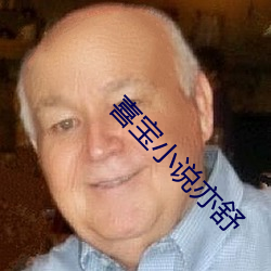 喜宝(bǎo)小说亦舒
