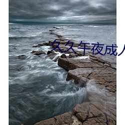 久久午夜成人影院
