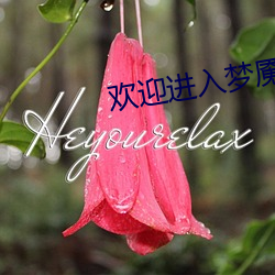 歡迎進入夢魇直播間