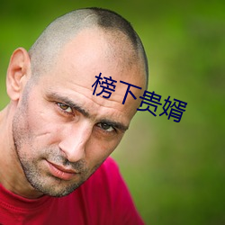 榜下贵婿 （人次）