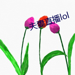 夫妻直播lol （奇零）