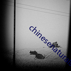 chinesenaturalstories