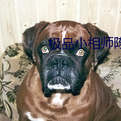 极品小相师陈阳