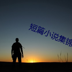 短篇小说集锦 （遍及）