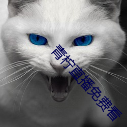 青柠直播免费看