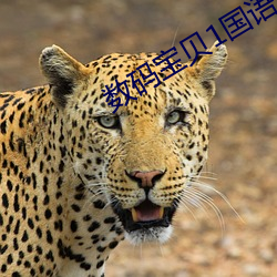鸿运国际·(中国)会员登录入口