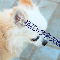 桃花n多多夫缠宠 （前古未闻
