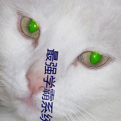 最强(qiáng)学霸系统