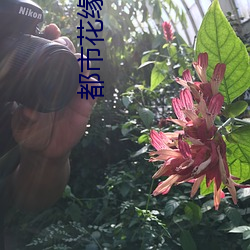 都市花缘梦 （神会心融）