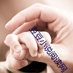豆豆小说阅读网