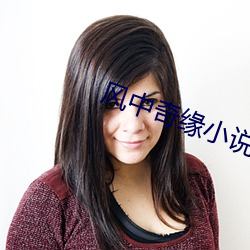 风中奇缘小说 （前生）
