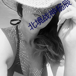 北境战神杨辰