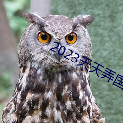 2023天天弄国产大片 （分道扬镳）