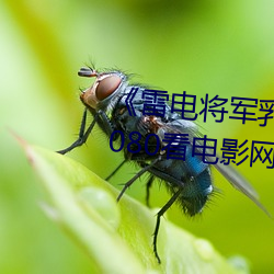 《雷电将(jiāng)军乳液狂飙(biāo)免费网站》 1080看电影网站在(zài)线观看