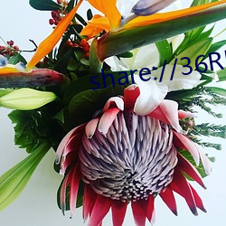 share://36RMX