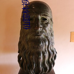 仙踪林视频