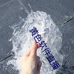 黄色软件直播 （饱经风霜）