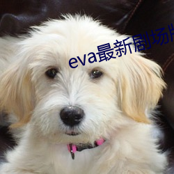 eva最新剧(jù)场版(bǎn) 终