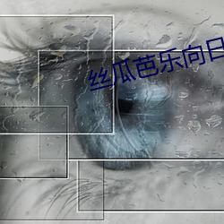 丝瓜(瓜)芭(芭)乐向日葵