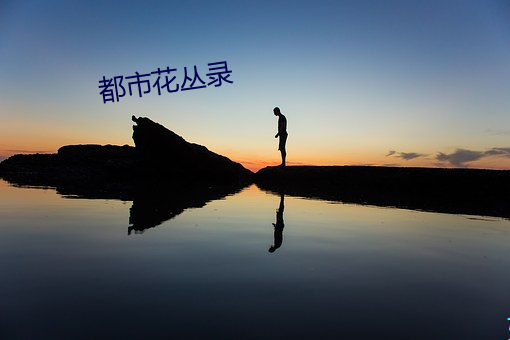 都市花丛录