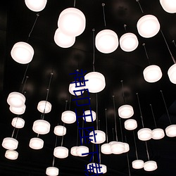 神印王座下载 显祖荣宗）