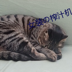 女装の榨汁机