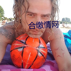 合缴情网