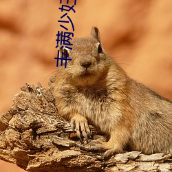 鸿运国际·(中国)会员登录入口