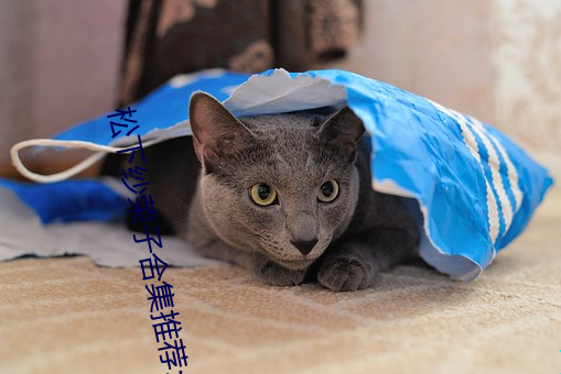 松(松)下(下)纱荣子合(合)集推(推)荐(薦):ADN