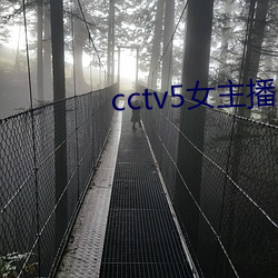 cctv5女主播