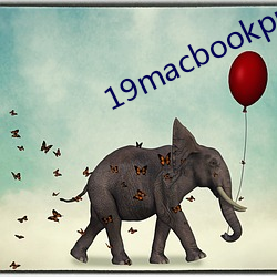 19macbookpro美国