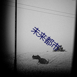 未来都(都)市