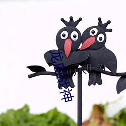 龙血战神