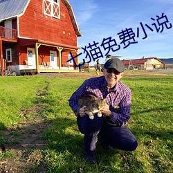 七(七)猫免费(費)小(小)说(說)