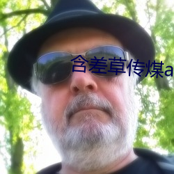 含差草传煤app黄版 （海盟山咒）