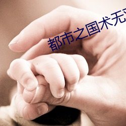 都市之(zhī)国术(shù)无双