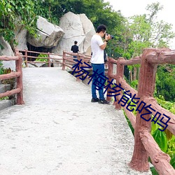 楊梅核能吃嗎