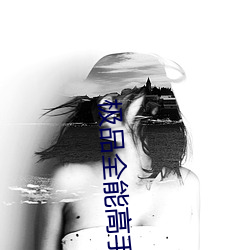 极(jí)品全能高手