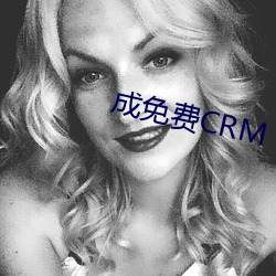 成免费CRM （一清二楚）