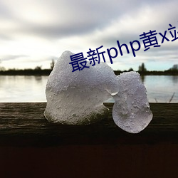 最新php黄x站app源码