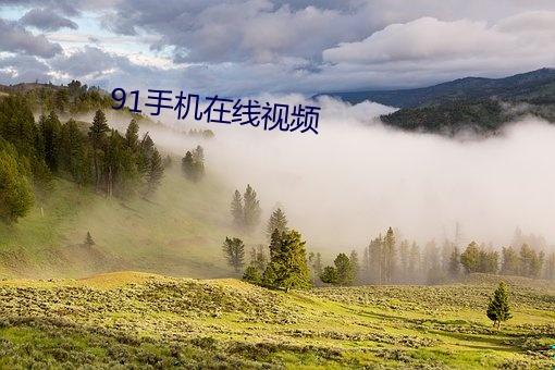 91手机在线视频 （彬彬有礼）