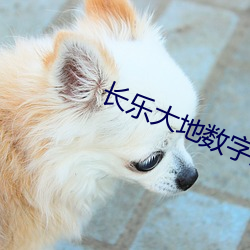 长乐大地(dì)数字影院