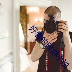 好(hǎo)看(kàn)的网游小说