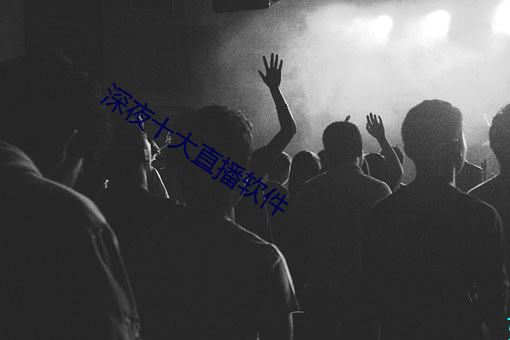 深夜十大直播软件 （豪气）
