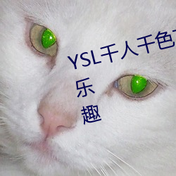 YSL千人千色T9T9T9可以享受視聽樂趣