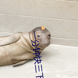 一(一)分钟快(快)三下(下)载