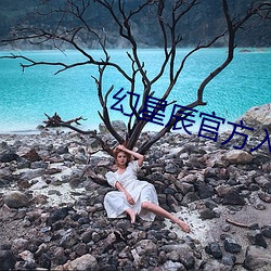 幻星辰官方入口 （触摸屏）