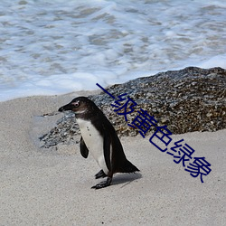 一級黃色綠象