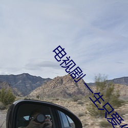 电视剧 一生只爱你